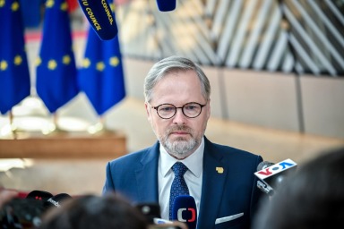 Petr Fiala podepsal dopis s kritikou Evropského soudu pro lidská práva. Soud podle něho omezuje demokracii.