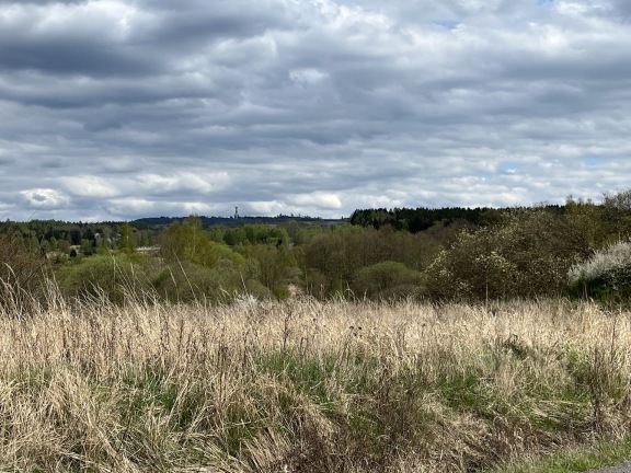 Právníkům chybí zákon, směr i pokyny pro obce a stát. Píší to ve stanoviscích ke klimatické žalobě. Foto: Irena Válová