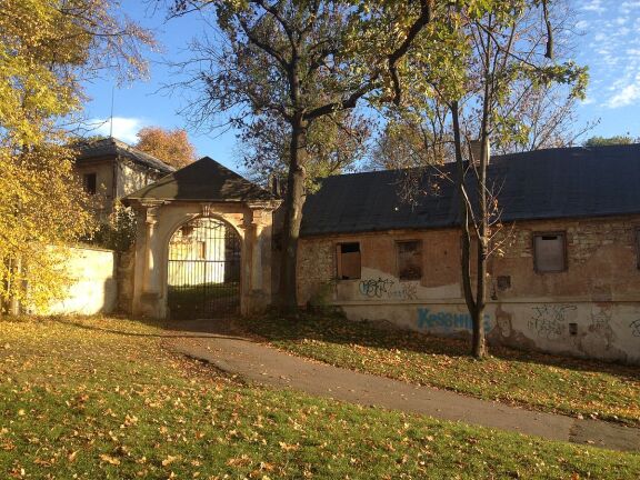 Cibulka