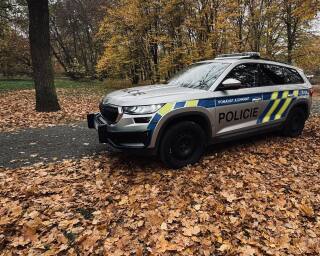Policie