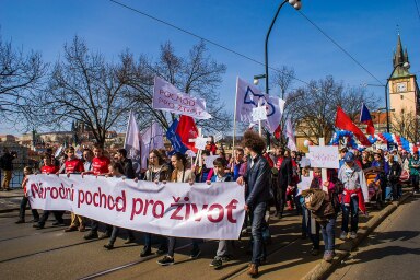 pochod policie pochybení