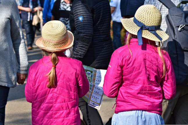 Stát zaplatí za to, že soud svolil po dvou letech se stěhováním dětí. Foto: Pixabay