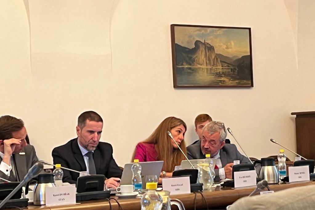 Dnešní jednání ústavně-právního výboru sněmovny. Poslanci Eva Decroix a Marek Benda. Foto: Irena Válová