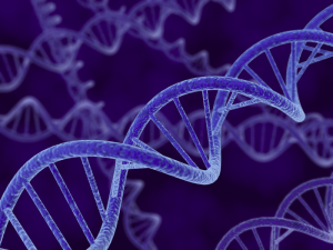 V Austrálii si můžete nechat patentovat vlastní DNA – a vydělat na ní. Foto: NIST.gov